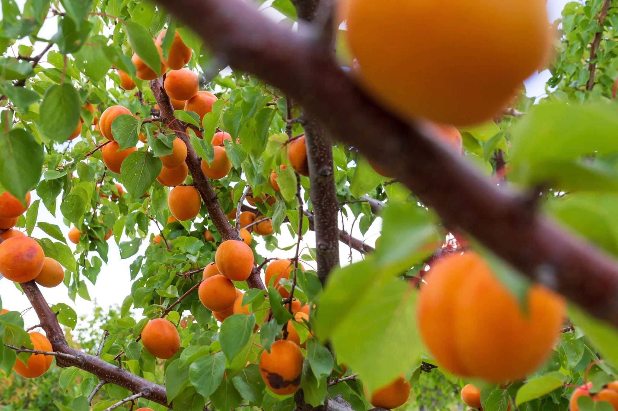 Welcome to Our Store